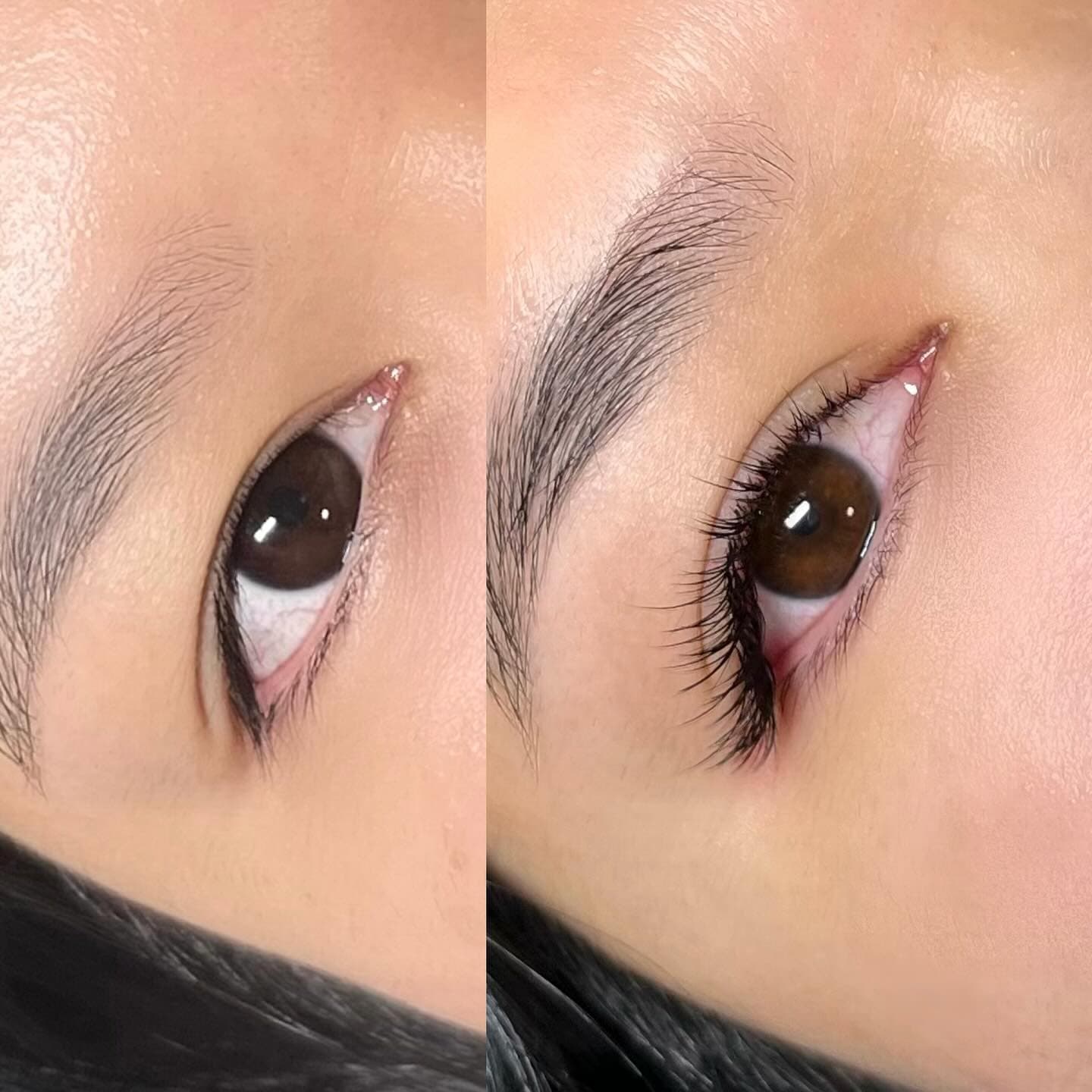 Hybrid Cat Eye 💫